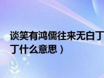 谈笑有鸿儒往来无白丁什么意思意思（谈笑有鸿儒往来无白丁什么意思）