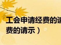 工会申请经费的请示报告怎么写（工会申请经费的请示）