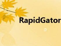 RapidGator 翻译（rapidgator）