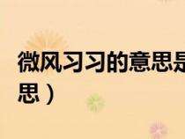 微风习习的意思是什么二年级（微风习习的意思）