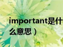 important是什么意思呢（important是什么意思）