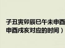 子丑寅卯辰巳午未申酉戌亥对应的时辰（子丑寅卯辰巳午未申酉戌亥对应的时间）