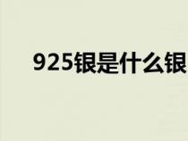 925银是什么银（925纯银是什么意思）