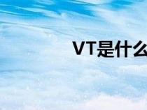 VT是什么检测（vt是什么）