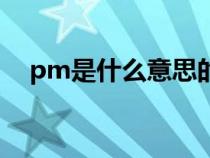 pm是什么意思的缩写（pm是什么意思）