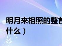 明月来相照的整首诗（明月来相照的上一句是什么）