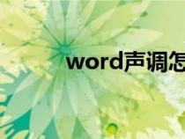 word声调怎么打（声调怎么打）