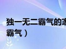 独一无二霸气的家族名字（传奇家族名字大全霸气）