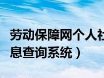 劳动保障网个人社保信息（劳动保障网个人信息查询系统）