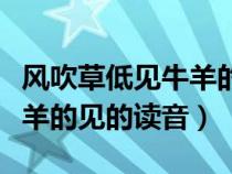 风吹草低见牛羊的见的读音是（风吹草低见牛羊的见的读音）