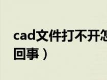 cad文件打不开怎么办（cad文件打不开怎么回事）