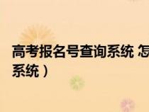 高考报名号查询系统 怎么查询高考报名号（高考报名号查询系统）