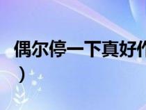 偶尔停一下真好作文记叙文（偶尔停一下真好）