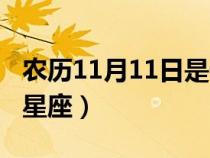 农历11月11日是什么星座（11月11日是什么星座）