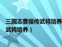 三国志曹操传武将培养攻略压级是怎么回事（三国志曹操传武将培养）