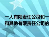 一人有限责任公司和一人有限公司区别（一人有限责任公司和其他有限责任公司的区别）