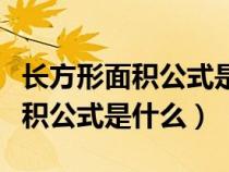 长方形面积公式是什么用字母表示（长方形面积公式是什么）