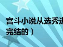 宫斗小说从选秀进宫（宫斗小说从选秀开始已完结的）