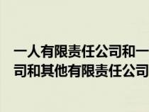 一人有限责任公司和一人有限公司的区别（一人有限责任公司和其他有限责任公司的区别）