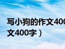 写小狗的作文400字以上说明文（写小狗的作文400字）