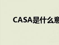 CASA是什么意思（casa是什么意思）