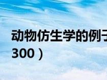 动物仿生学的例子300个（动物仿生学的例子300）