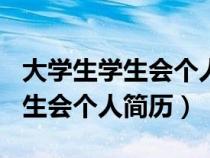 大学生学生会个人简历填表100字（大学生学生会个人简历）