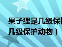 果子狸是几级保护动物2023年的（果子狸是几级保护动物）