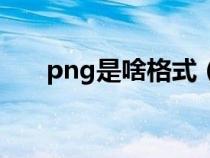 png是啥格式（png是什么格式图片）