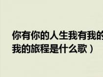 你有你的人生我有我的旅程是什么歌?（你有你的人生我有我的旅程是什么歌）