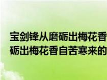 宝剑锋从磨砺出梅花香自苦寒来的作者是陆游（宝剑锋从磨砺出梅花香自苦寒来的作者）