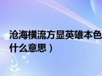 沧海横流方显英雄本色是谁的诗句（沧海横流方显英雄本色什么意思）