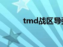 tmd战区导弹防御系统（TMD）