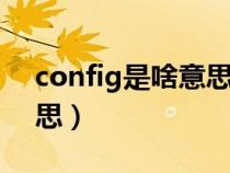 config是啥意思（configuration是什么意思）