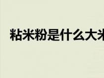 粘米粉是什么大米做的粉（粘米粉是什么）