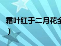 霜叶红于二月花全诗是什么（霜叶红于二月花）