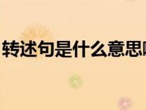 转述句是什么意思啊 怎么改（转述句是什么）