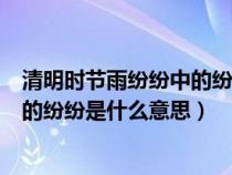 清明时节雨纷纷中的纷纷是什么意思呀（清明时节雨纷纷中的纷纷是什么意思）