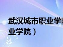 武汉城市职业学院录取线2023（武汉城市职业学院）