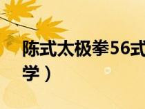 陈式太极拳56式教学2（陈式太极拳56式教学）