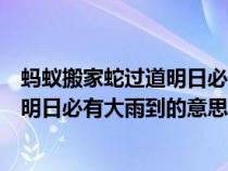 蚂蚁搬家蛇过道明日必有大雨到的意思是（蚂蚁搬家蛇过道明日必有大雨到的意思）