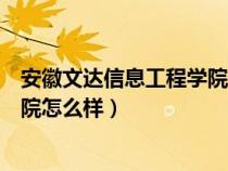 安徽文达信息工程学院怎么样好不好（安徽文达信息工程学院怎么样）