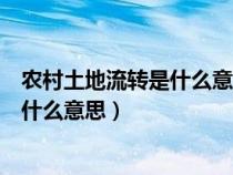 农村土地流转是什么意思是卖了还租出去（农村土地流转是什么意思）