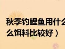 秋季钓鲤鱼用什么饵料最好（夏季钓鲤鱼用什么饵料比较好）