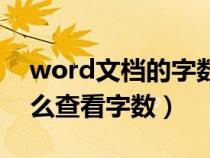 word文档的字数统计怎么找（word文档怎么查看字数）