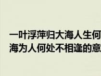 一叶浮萍归大海人生何处不相逢是什么生肖（一叶浮萍归大海为人何处不相逢的意思）