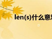 len(s)什么意思（lenb是什么意思）