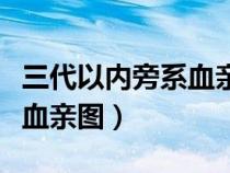 三代以内旁系血亲图包括媳妇（三代以内旁系血亲图）