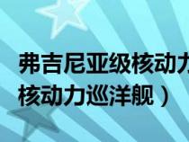 弗吉尼亚级核动力巡洋舰三视图（弗吉尼亚级核动力巡洋舰）