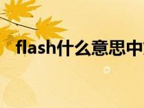 flash什么意思中文名字（flash什么意思）